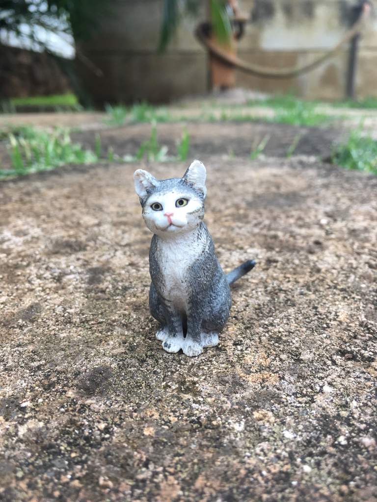 Schleich Warrior Cat Pictures 