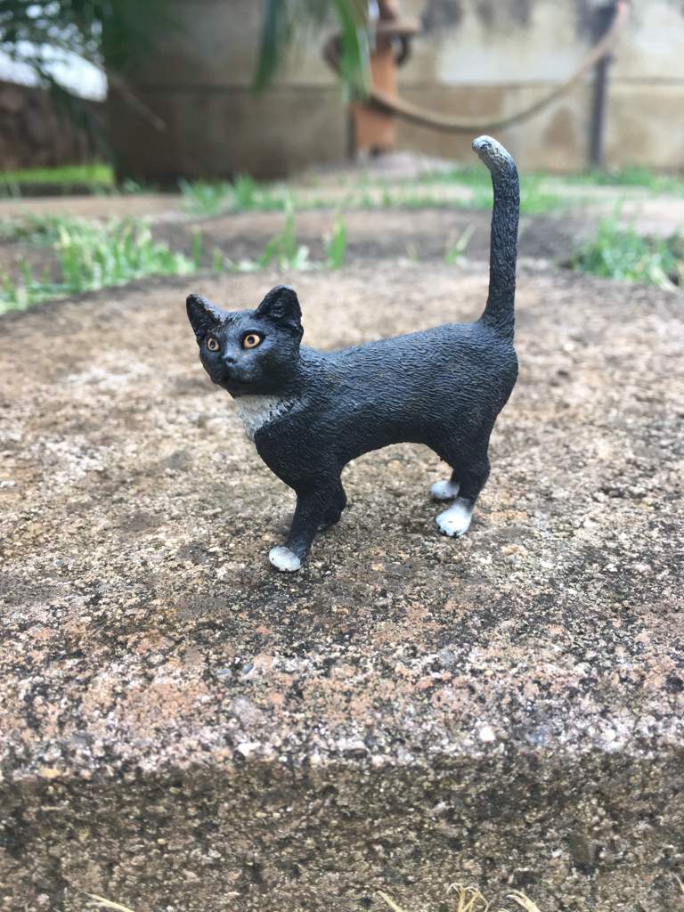 Schleich Warrior Cat Pictures | Schleich Amino