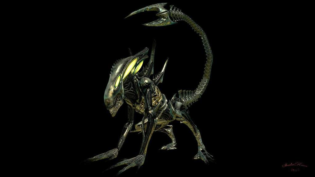 Spitter xenomorph | Wiki | Alien Versus Predator Universe Amino