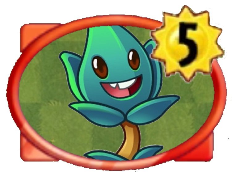 Thyme Warp Plants vs Zombies Heroes Amino