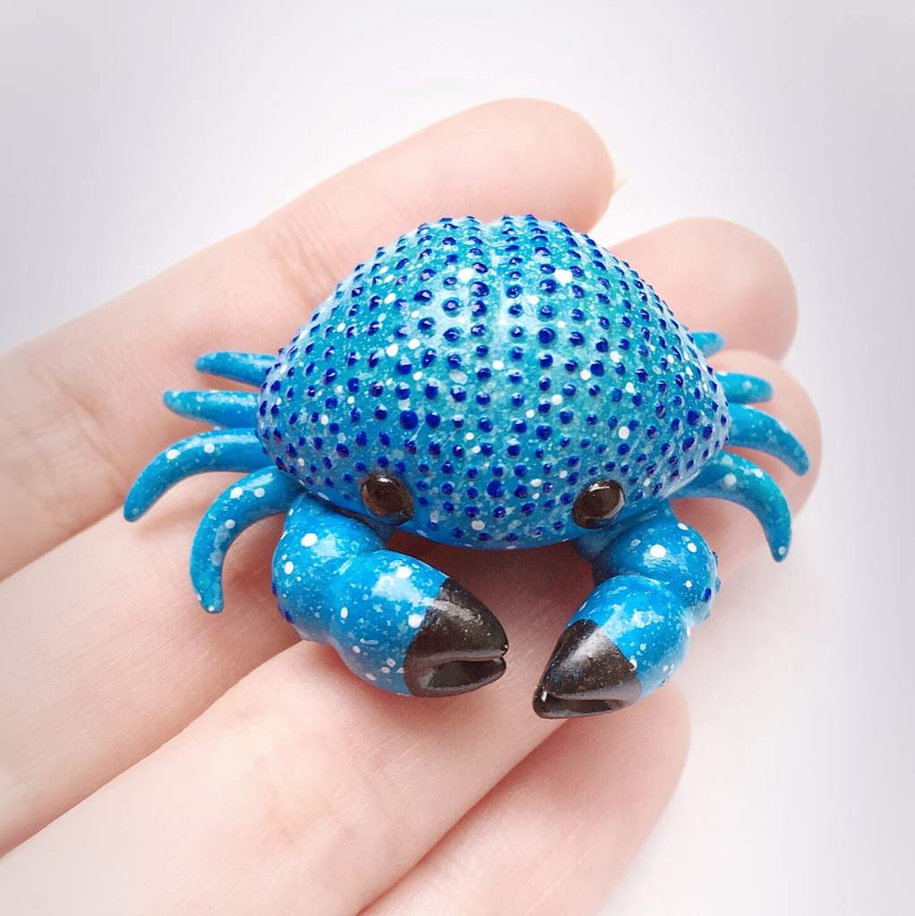 baby blue crab