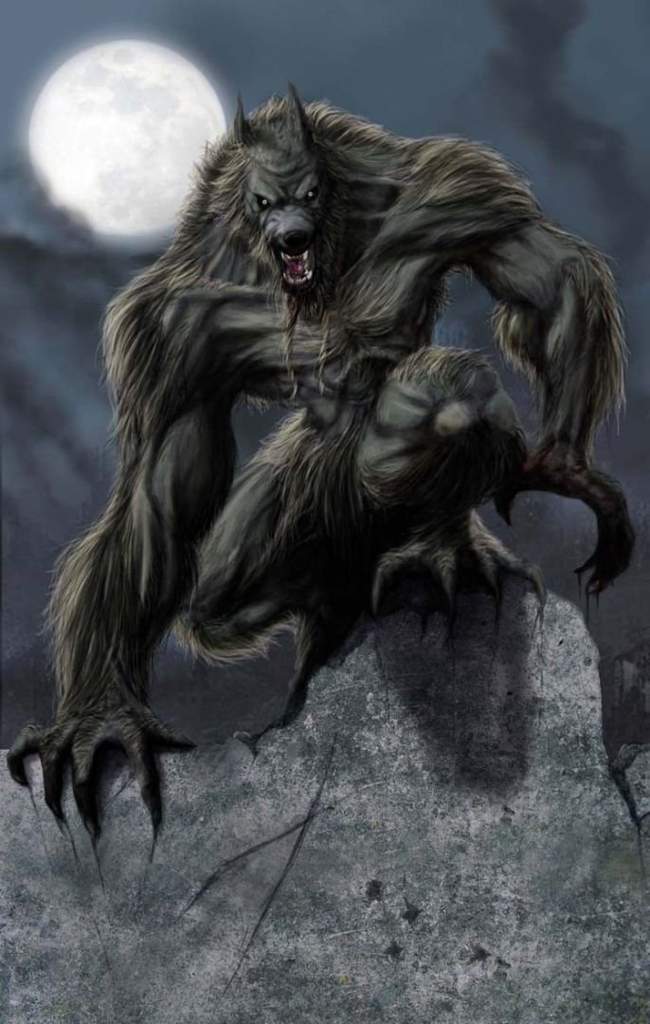 King Werewolf | Wiki | Anime Amino