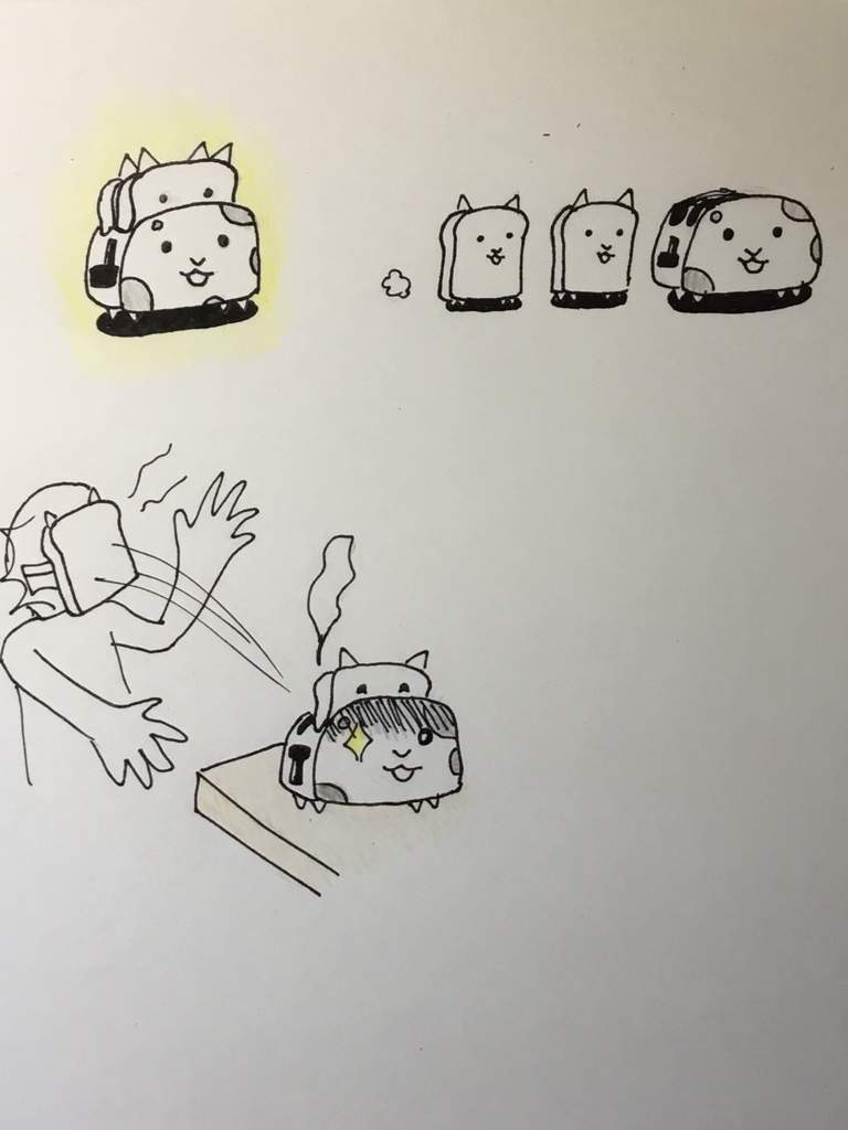Cat Toaster The Battle Cats! Amino