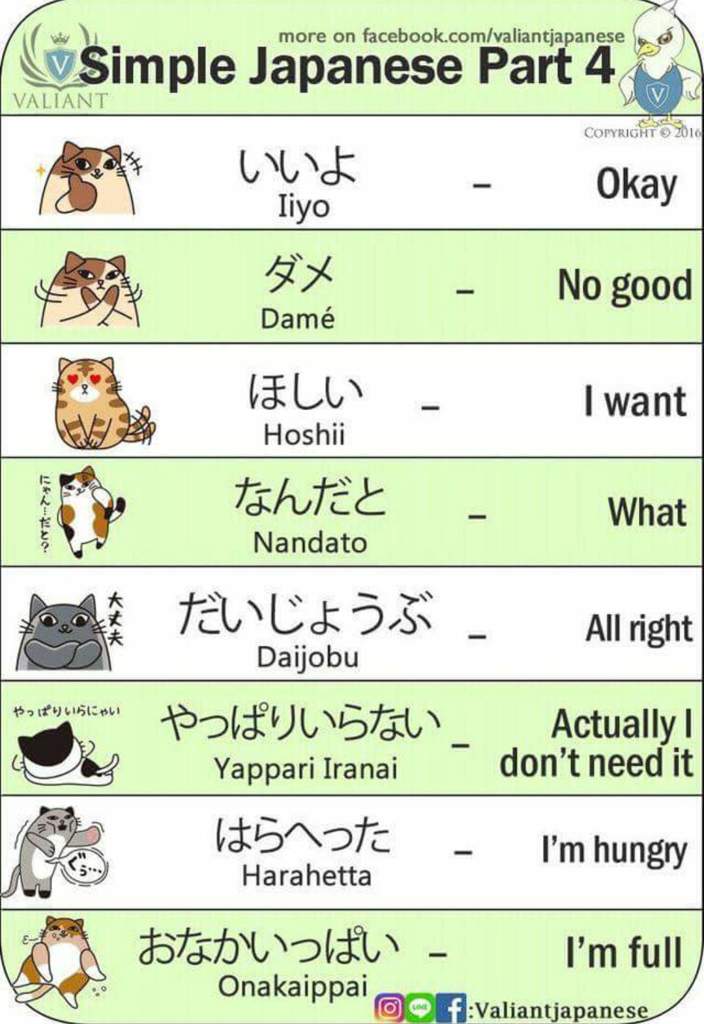 Common Japanese Phrases Worksheet