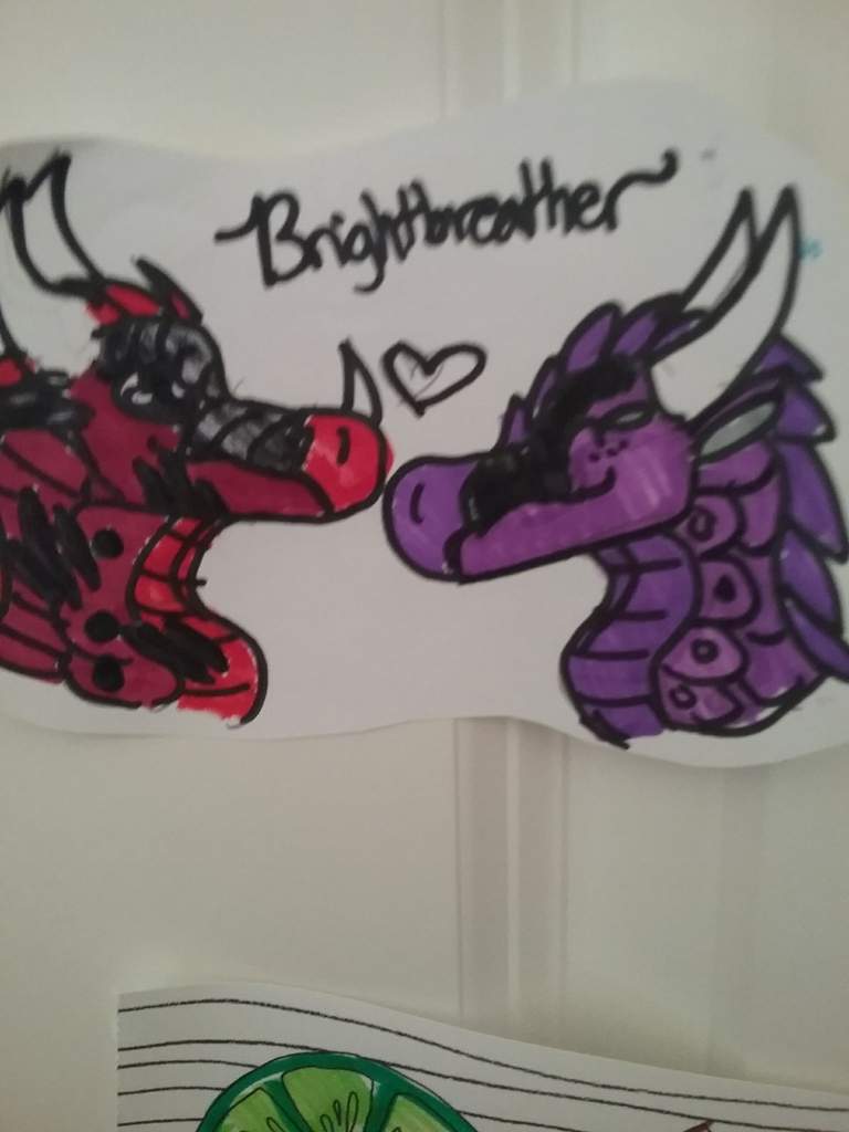 Wings of fire wall art | Wings Of Fire Amino