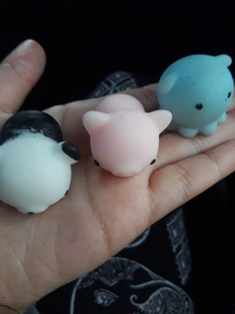 dumpling squishy five below