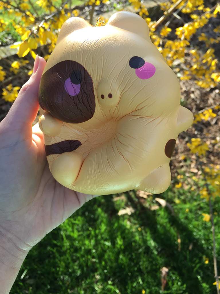 the big squish the big squish