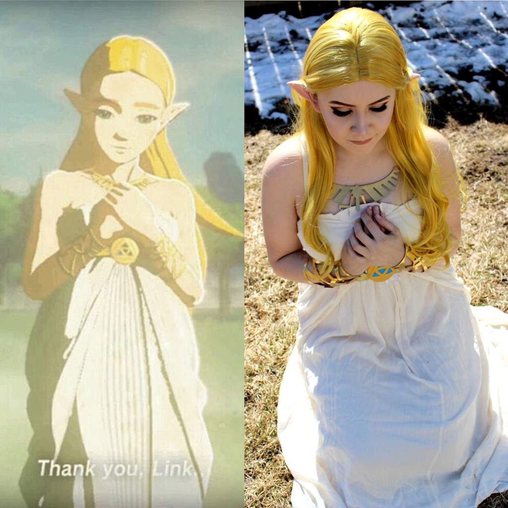 Botw Zelda Cosplay | Zelda Amino