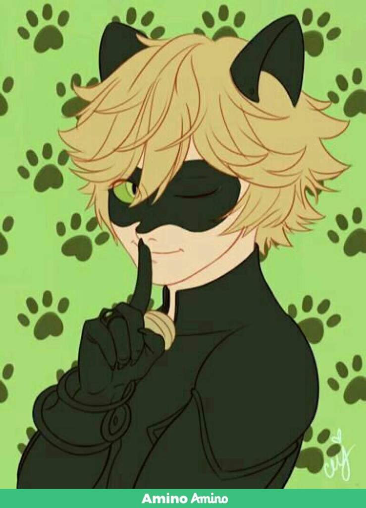 kitty | Miraculous Amino