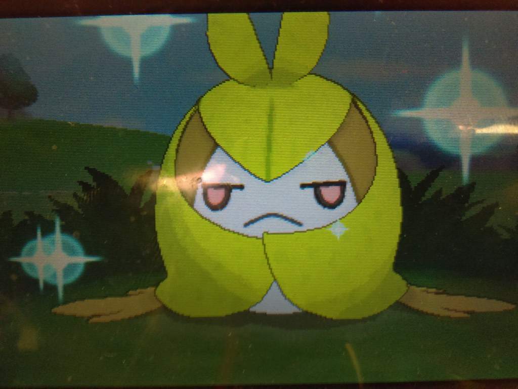 TWO Shiny Swadloon +Evolution! 🍂 Pokémon Amino