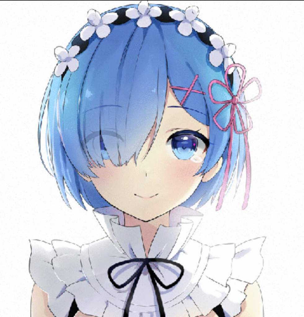 What Anime Is Rem From