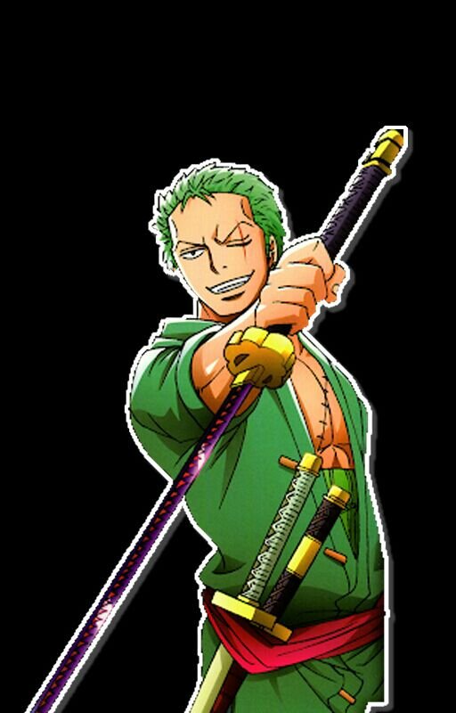 Zoro Side View