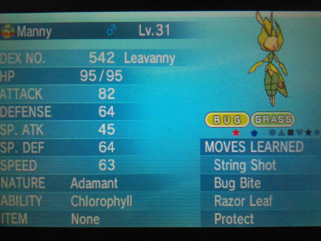 TWO Shiny Swadloon +Evolution! 🍂 Pokémon Amino