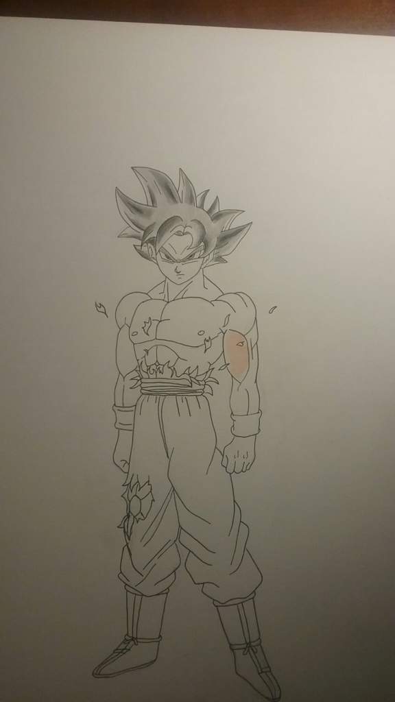 Mastered Ultra Instinct Goku Drawing Dragonballz Amino