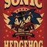 amino-Sonic The Hedgehog-3165437c