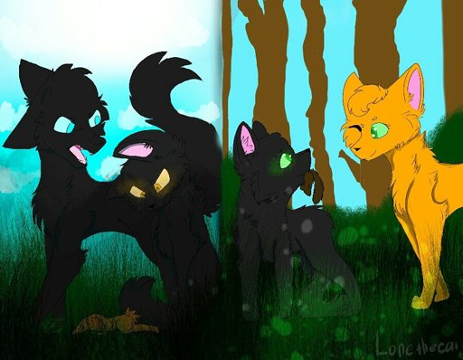 TIGERHEARTS SHADOW ️ | Warrior Cats Amino Amino