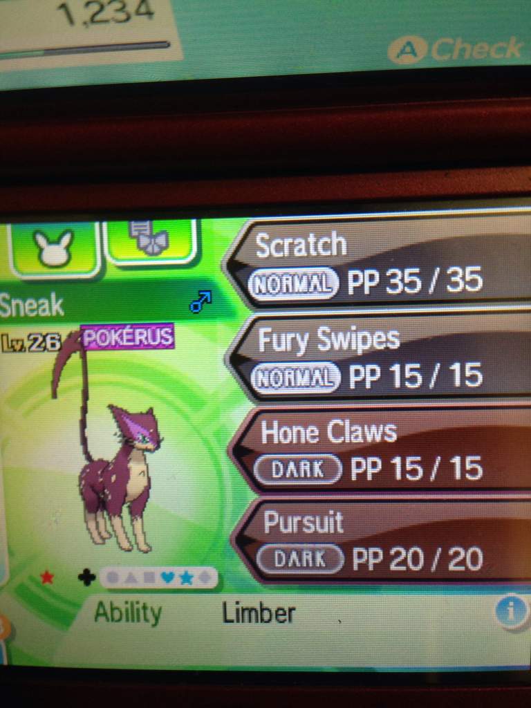 Shiny Liepard | Shiny Pokemon Amino Amino