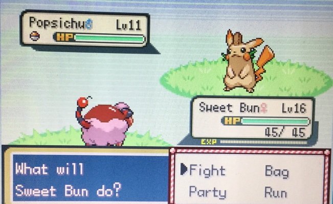pokemon sweet chocowool