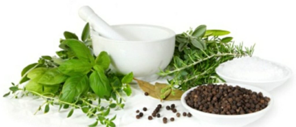 Herbs and Uses | Wiki | Warriors Amino