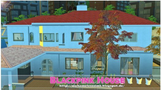 black and pink houses meme