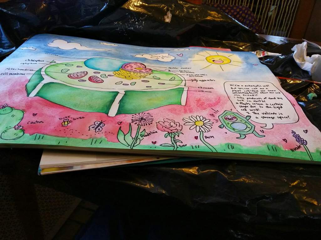 Old Plant Cell Watercolor Project This Is A School Project So Most Of My Art Would Be Smaller More Detailed Art Amino