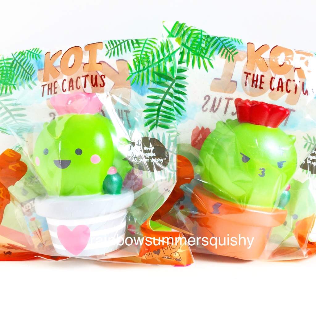 Koi The Cactus Squishies Squishy Love Amino