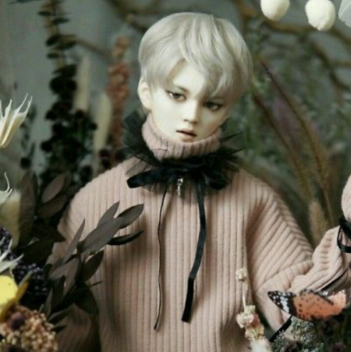 jimin bjd