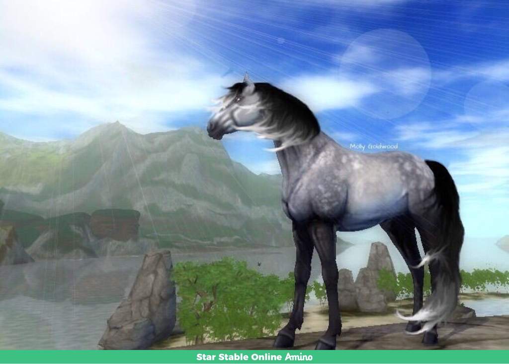 Meet Memorable Mustangs! Star Stable Online Amino