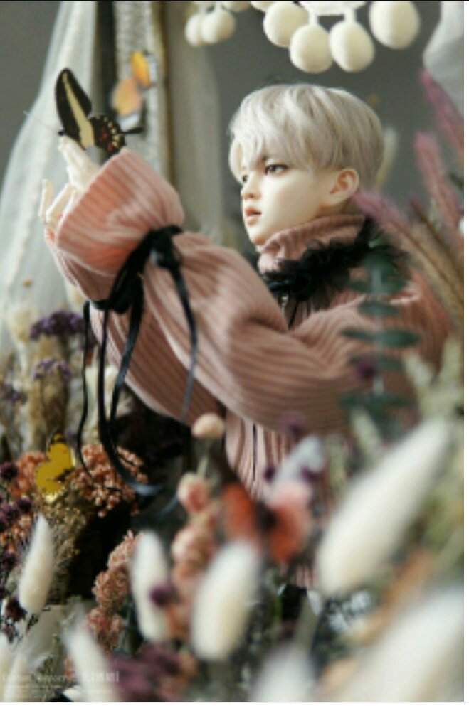 jimin bjd