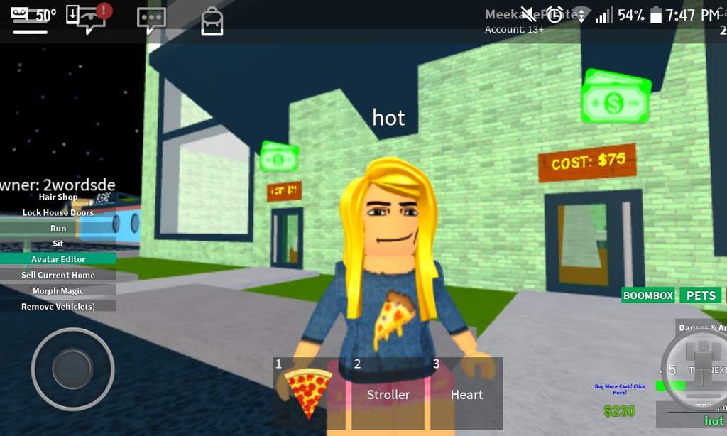 funny roblox pictures