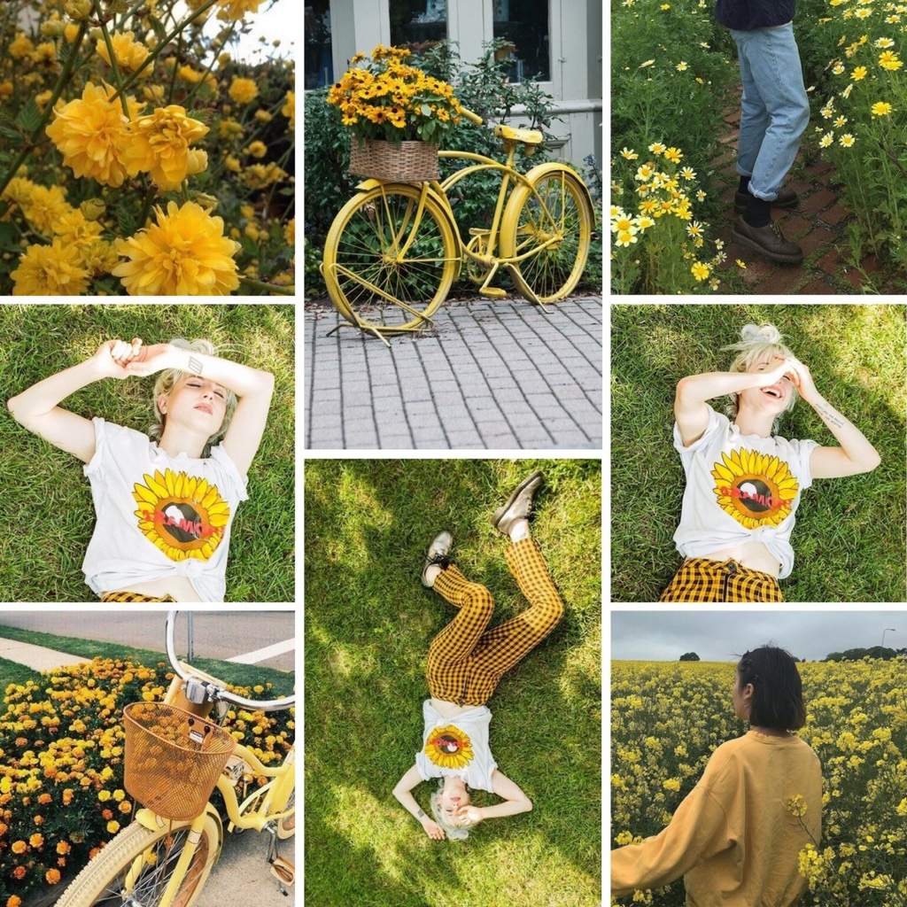 Featured image of post Yellow Green Aesthetic Collage