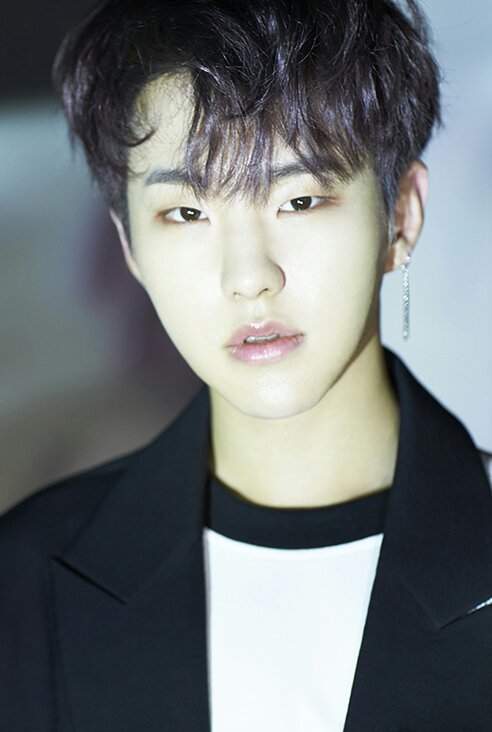 Hoshi Wiki Carat Amino