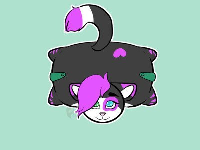 Koka the cat | Wiki | Furry Amino