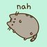 amino-pusheen4life-3cf28474