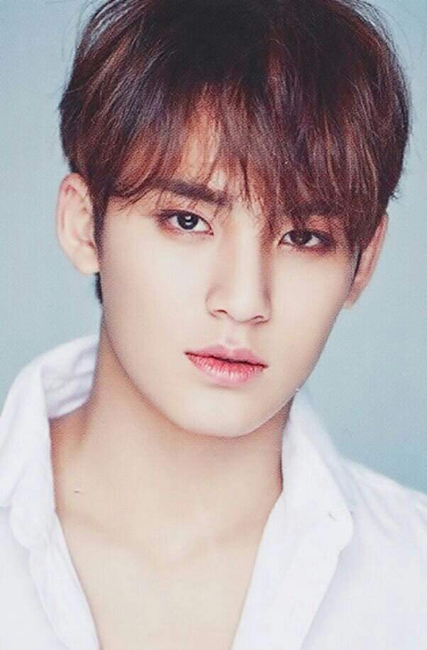 Mingyu | Wiki | SEVENTEEN Español Amino