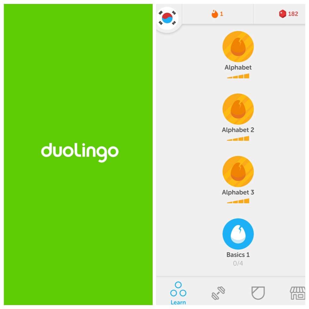 duolingo for learning korean