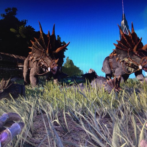 The New Trikes and there babies | Ark Survival Evolved Amino