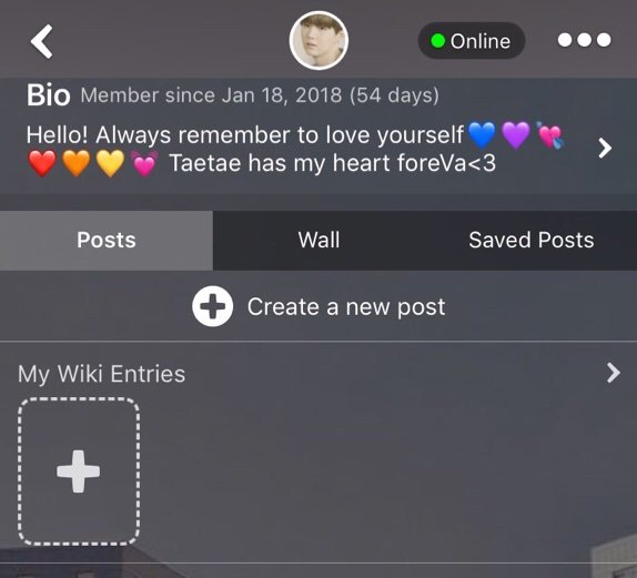 How To Create An Aesthetic Profile Army S Amino