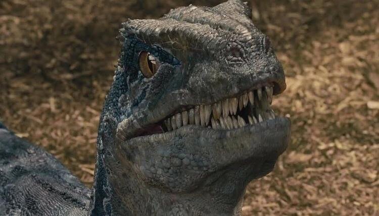 jurassic park blue pop