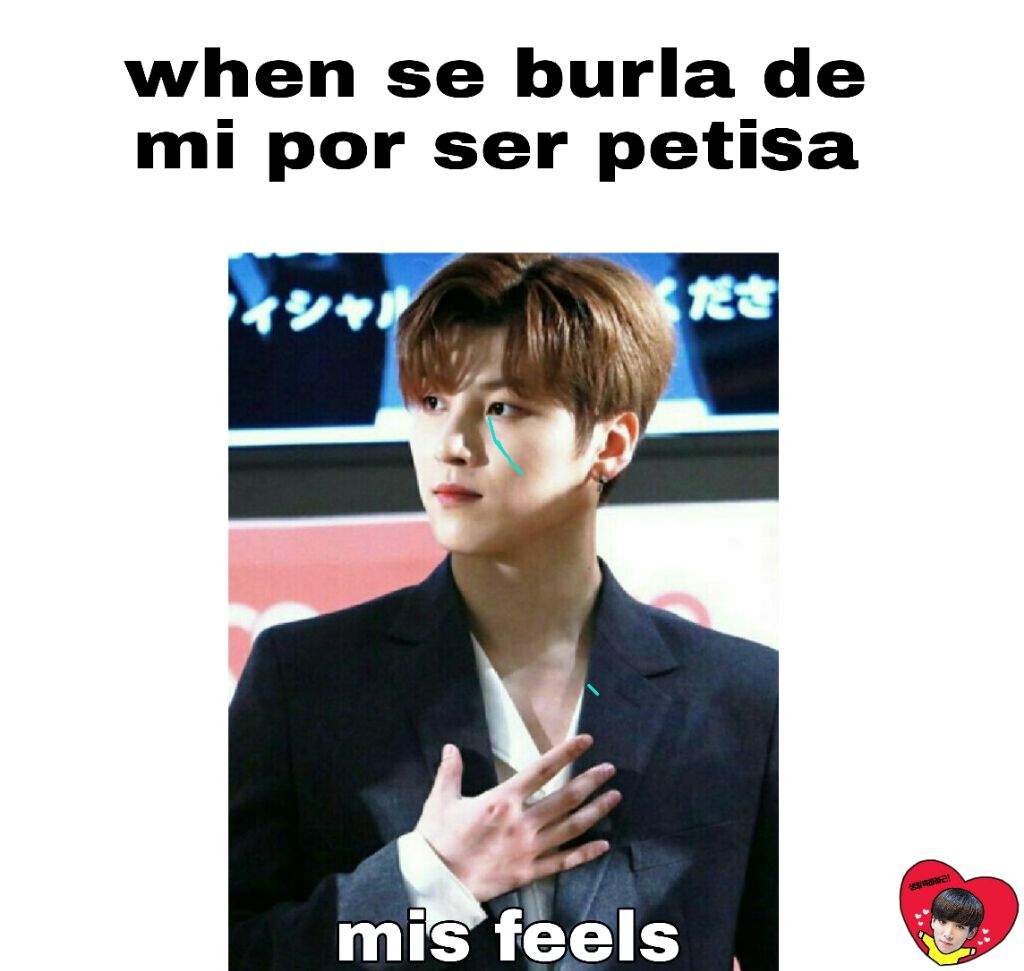 Mis Sentimientos En Un Meme Snuper Amino Amino