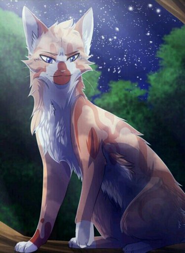 Eclipse Star | Wiki | Warrior Cats ° Amino