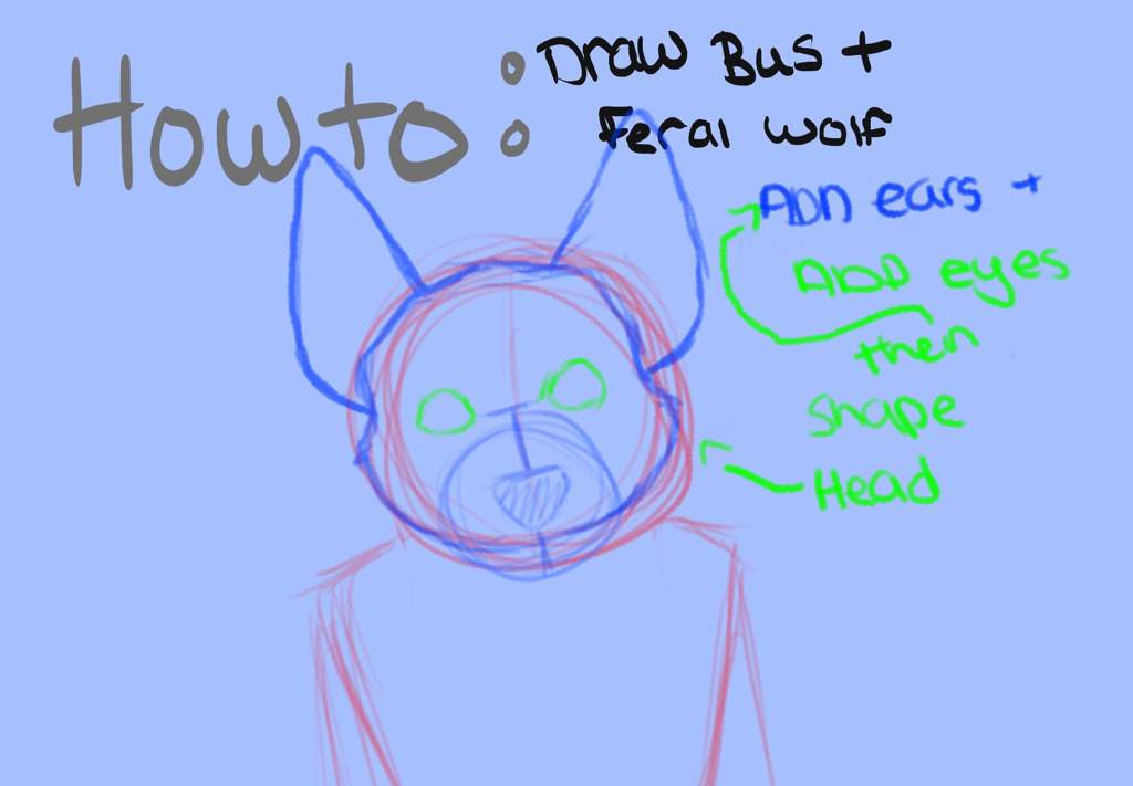 How To Draw A Bust Up Feral Wolf Furry Amino 8487