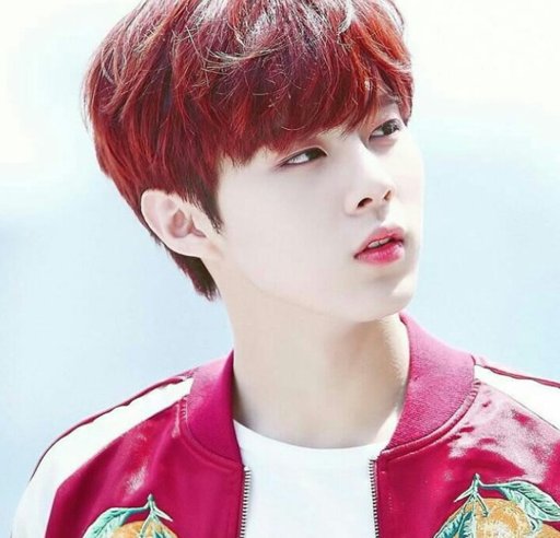 @KimWooSeok | Universo k-idol /RPG Amino