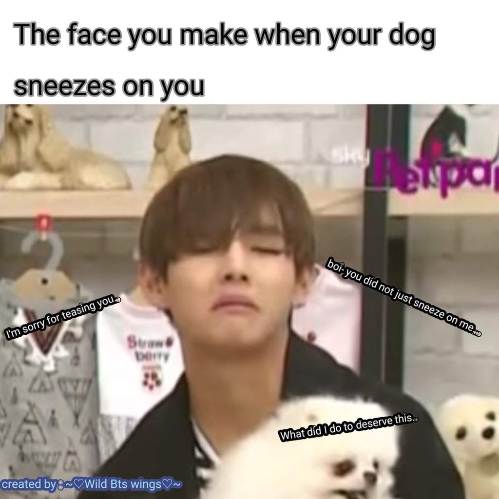 Fresh Memes 1 ARMY MEMES Amino