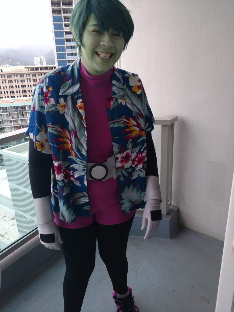 Beast Boy Cosplay | Wiki | Cosplay Amino