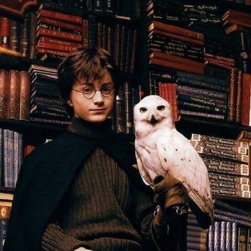 dumbledore and fawkes pop