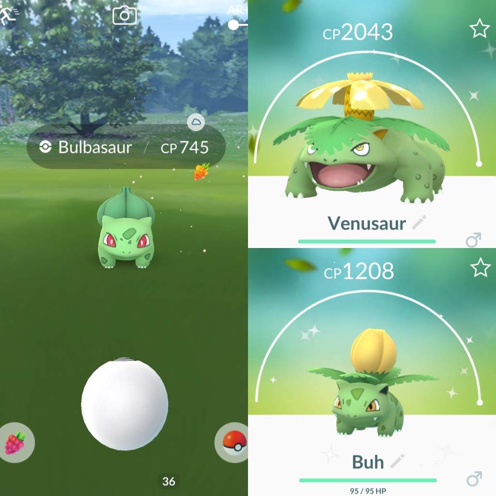 Shiny Bulbasaur via Pokemon Go Community Day! 