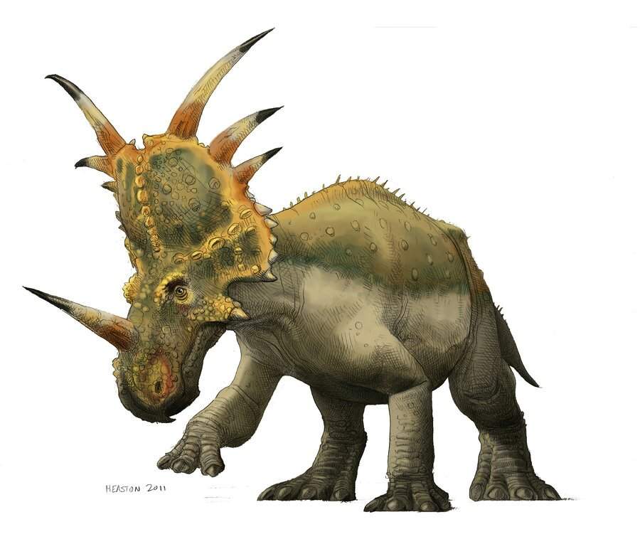 jwe styracosaurus