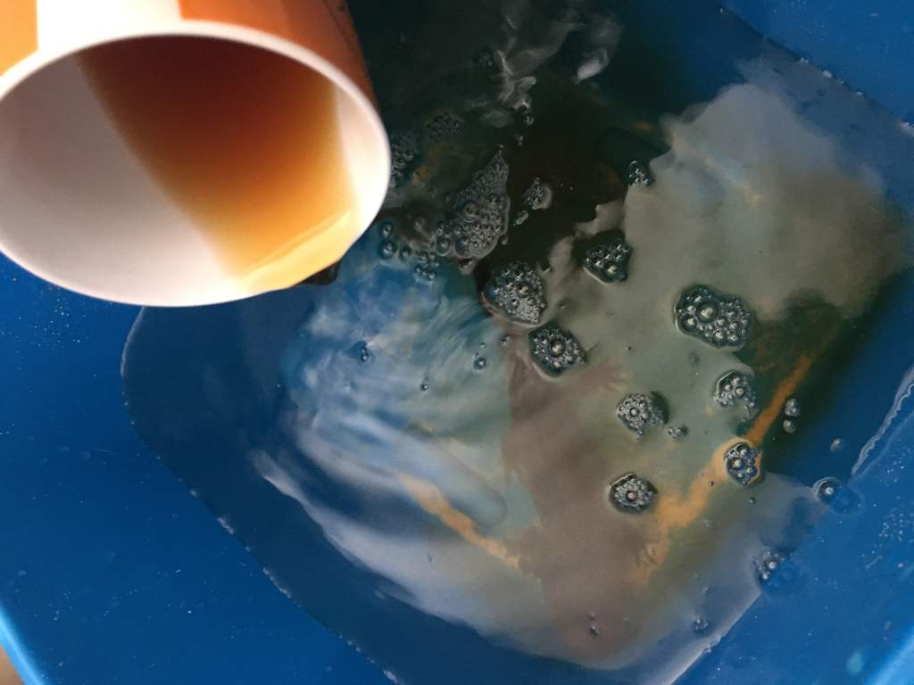 Tea Baths Axolotl Askalotl Amino