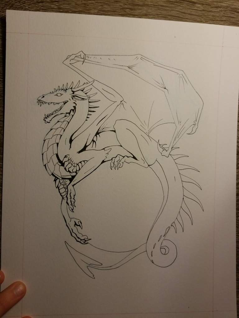 My newest, loveliest dragon babe. Such a handsome babe don't you agree ...